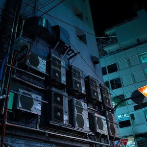 人与动物性交内射
