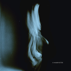 人与动物性交内射
